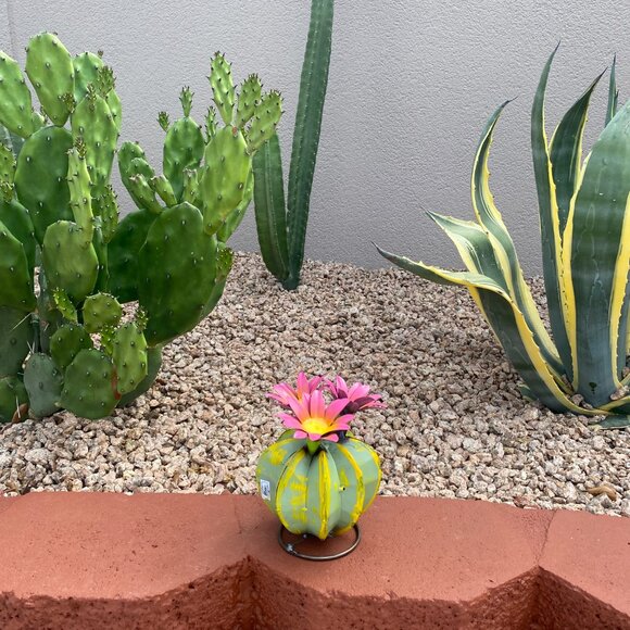 Handpainted Metal Mini Bisnaga Cactus Yard Art Garden Decor - Picture 5 of 14